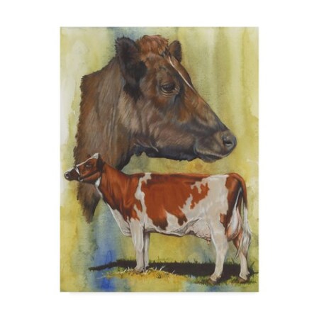 Barbara Keith 'Ayrshire Cows' Canvas Art,14x19